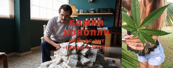 стафф Богородск