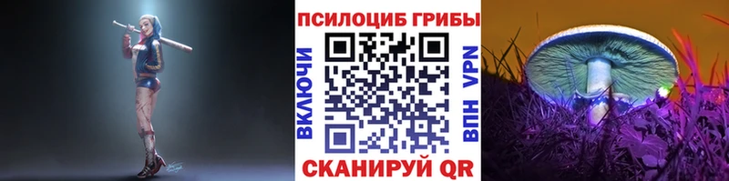 Галлюциногенные грибы GOLDEN TEACHER  кракен ССЫЛКА  Новый Уренгой 