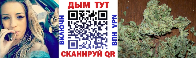 Бошки марихуана марихуана Новый Уренгой